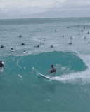 ALOHAxWOOD TWIN-D SHADOW FORCE