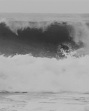 ALOHAxWOOD TWIN-L SHADOW FORCE